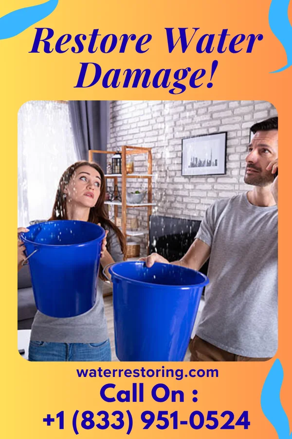 water restoration Ace Flood Damage Company Waverly